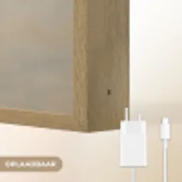 Dromerig - Beige - Paardenbloemzaadjes Light Box met batterij (Wandlamp) middel -USP_websiteoplaadbaarNL