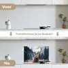 Hert - Dieren - Landschap - Winter - Sneeuw keuken achterwand spatscherm klein -voor_na_NL