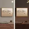 Hazestaartgras - Graanharen - Zonlicht Light Box met batterij (Wandlamp) middel -sfeer3