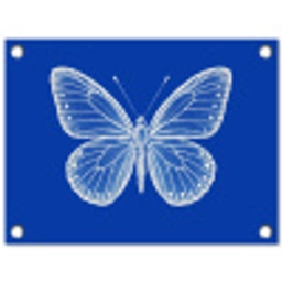Vlinder - Wit - Getekend - Stippen tuinposter los doek klein -3d