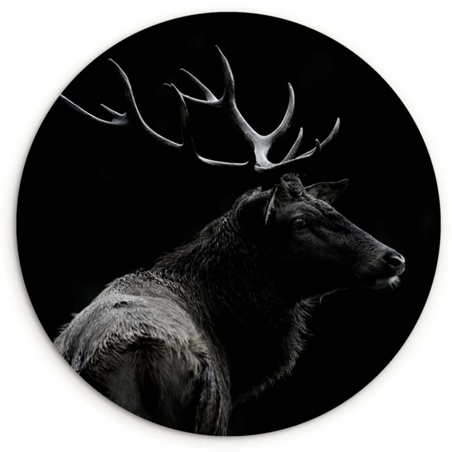 Hert - Zwart - Portret - Gewei - Dieren Wandcirkel kunststof plaat 5mm dik klein -3d