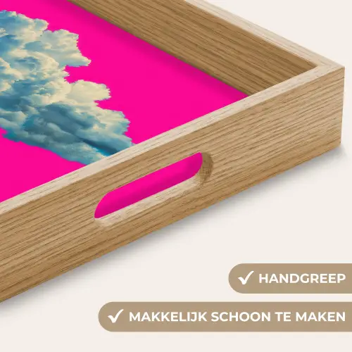 Man - Pak - Wolk - Roze Dienblad Rechthoek middel -USP_HandgreepNL
