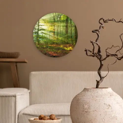 Zon - Bos - Bomen - Natuur - Herfst Wandcirkel kunststof plaat 5mm dik klein -sfeer1