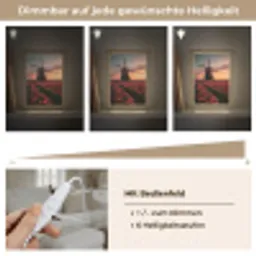 Molen - Zonsondergang - Tulpen - Rood Light Box met kabel (Tafellamp) klein -USP_dimbaarDE