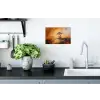 Boom - Landschap - Oranje Muursticker klein -keuken