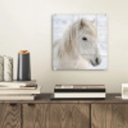 Paard - Kop - Winter - Dieren - Wit plexiglas 5mm klein -sfeer1