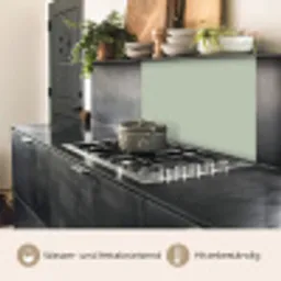 Mintgroen - Effen kleur keuken achterwand 2 middel 865 -usp_DE