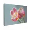 Tulpen - Roze - Stelen canvas 2cm klein -z3d