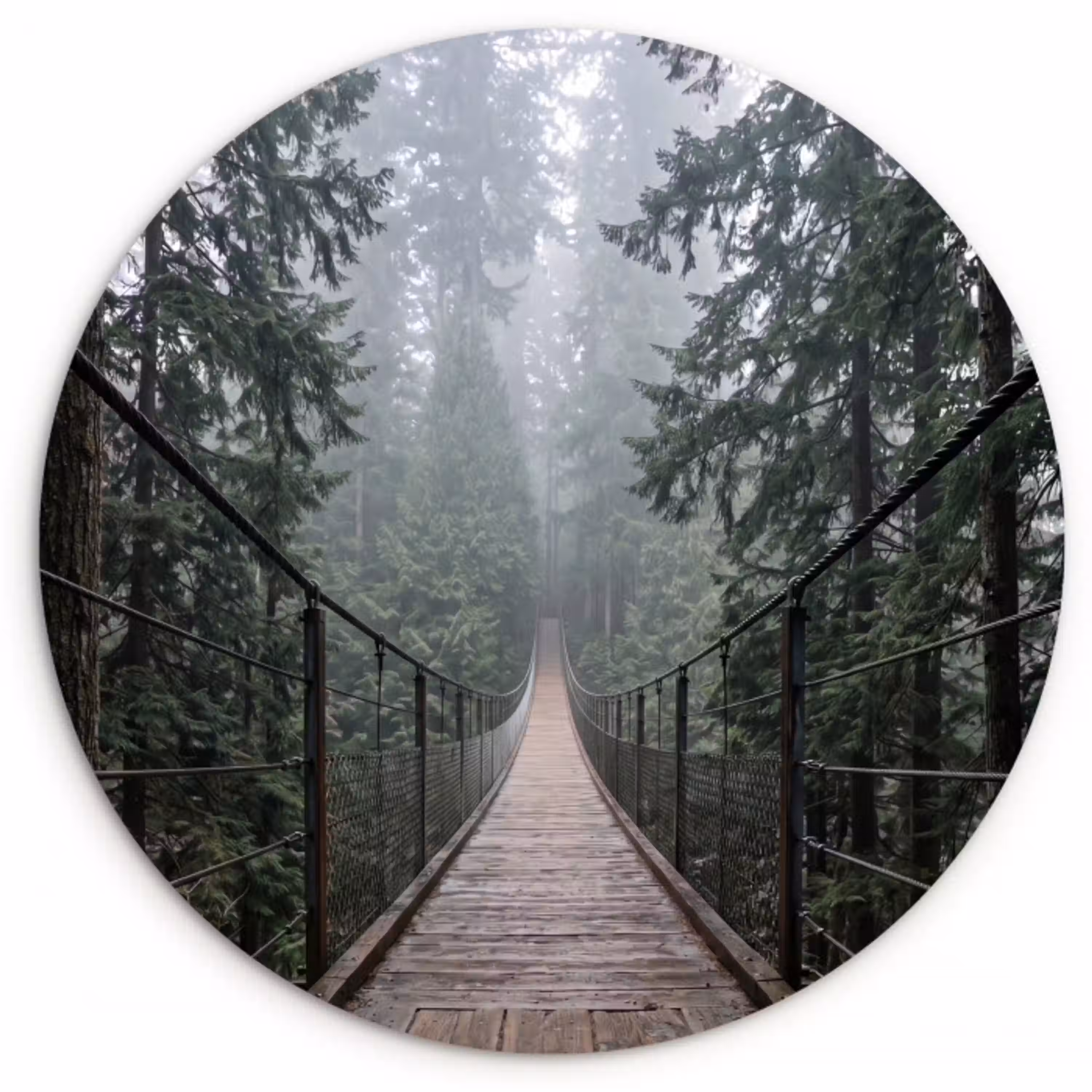 Brug - Bos - Mist - Natuur Wandcirkel kunststof plaat 5mm dik klein -3d