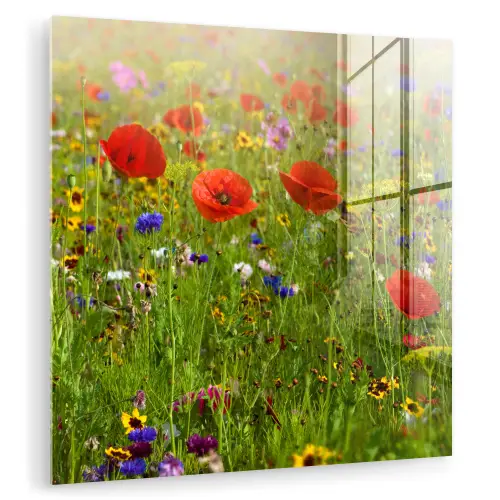 Lente - Bloemen - Rood - Klaproos - Gras - Groen plexiglas 5mm klein -zzzproduct_nieuw