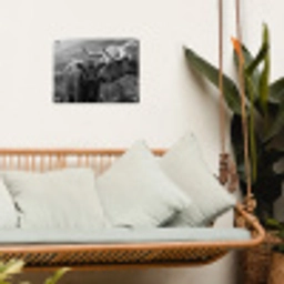 Schotse hooglander - Kalf - Zwart - Wit tuinposter los doek klein -sfeer7