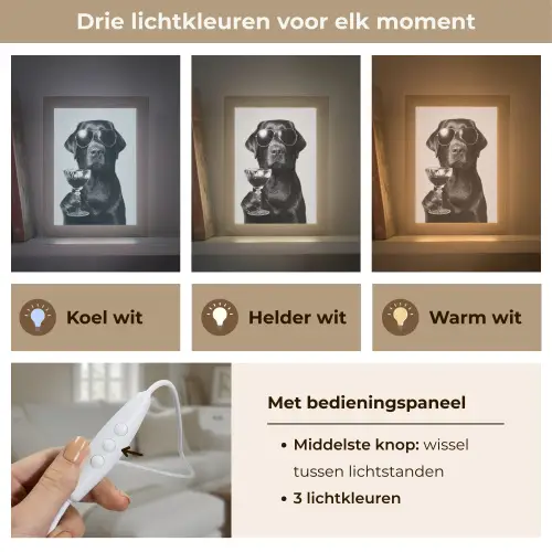 Hond - Zwart - Wijnglas - Zonnebril Light Box met kabel (Tafellamp) klein -USP_lichtkleurNL