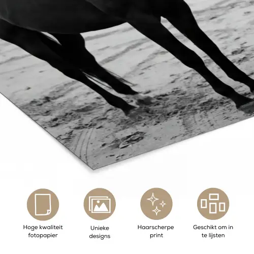 Paard - Auto - Zwart - Wit poster papier klein -closeup_NL