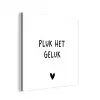 Quotes - Pluk het geluk - Spreuken aluminium wit klein -3d