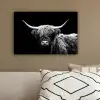 Schotse Hooglander - Koe - Zwart - Wit - Dieren canvas 2cm klein -sfeer3