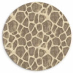 Giraf - Patroon - Beige - Bruin Wandcirkel kunststof plaat 5mm dik klein 188 -3d