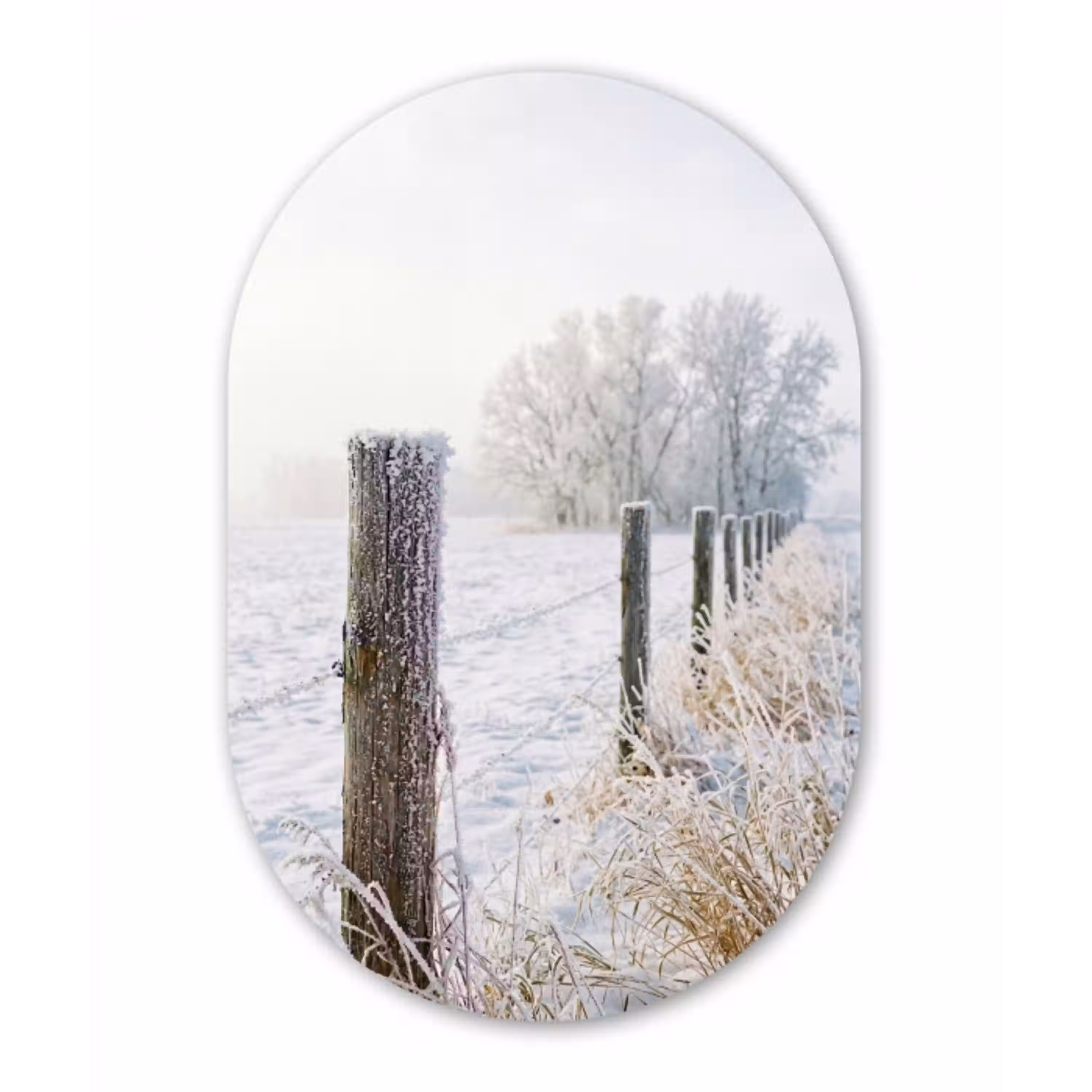 Hek - Sneeuw - Mist - Platteland - Nostalgisch Wandcirkel Ovaal Aluminium middel -3d
