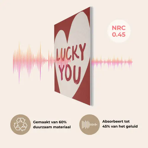 Lucky - Hart - Rood PET vilt klein -USP_NL