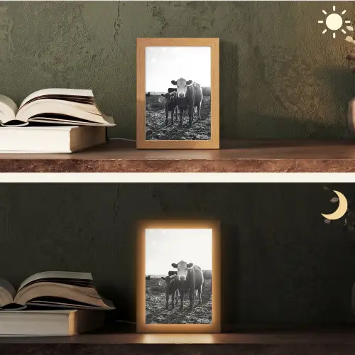 Koeien - Zwart - Wit Light Box met kabel (Tafellamp) klein -sfeer3