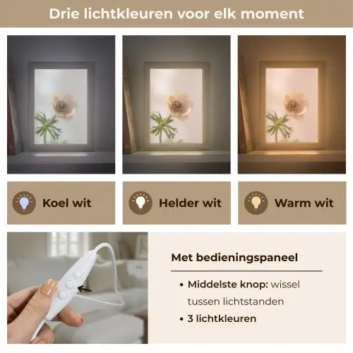 Bloem - Minimalistisch - Groen Light Box met kabel (Tafellamp) klein -USP_lichtkleurNL