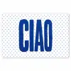 Ciao - Stippen - Roze - Wit Placemat vinyl groot -zzsfeer1_Kitchenyeah-website