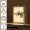 Vis - illustratie - Stippen - Oranje Light Box met kabel (Tafellamp) klein -USP_NL