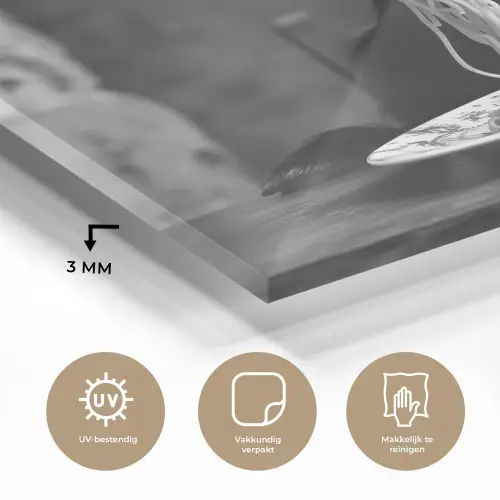 Geit - Bord - Spaghetti - Zwart Wit plexiglas 5mm klein -sfeer2