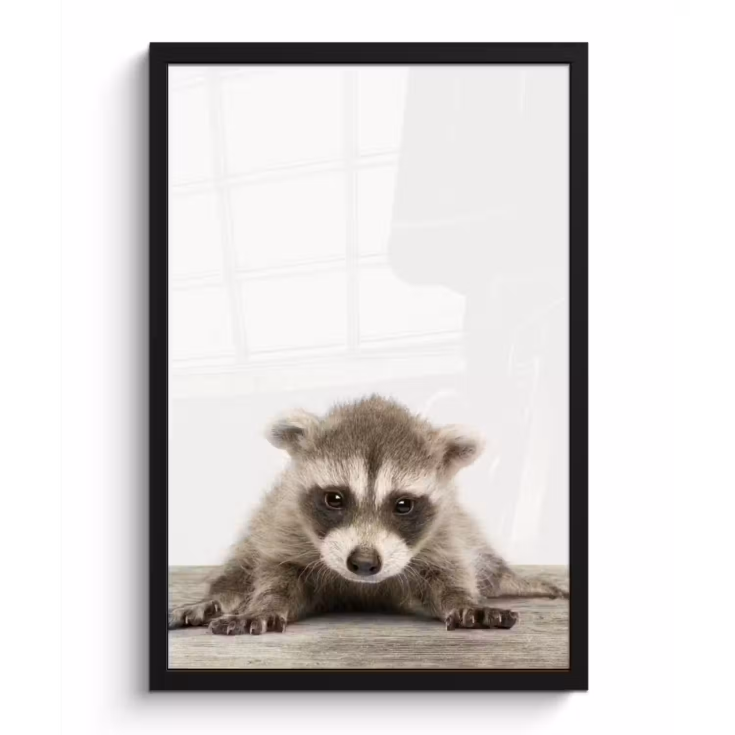 Poster met lijst - Wasbeer - Dieren - Kinderen - Jongens - Meisjes