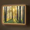 Bos - Zon - Bomen - Gras - Landschap  - Natuur Light Box met batterij (Wandlamp) middel -z3d_website
