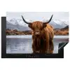 Schotse hooglander - Bruin - Water Inductie beschermer vinyl 3mm klein -3d