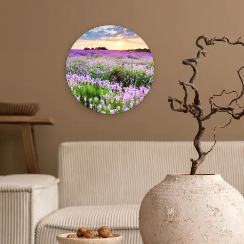 Lavendel - Bloemen - Zonsondergang - Paars - Weide Wandcirkel kunststof plaat 5mm dik klein -sfeer1
