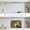 Schotse hooglander - Bergen - Grasveld keuken achterwand spatscherm klein -voor_na_NL