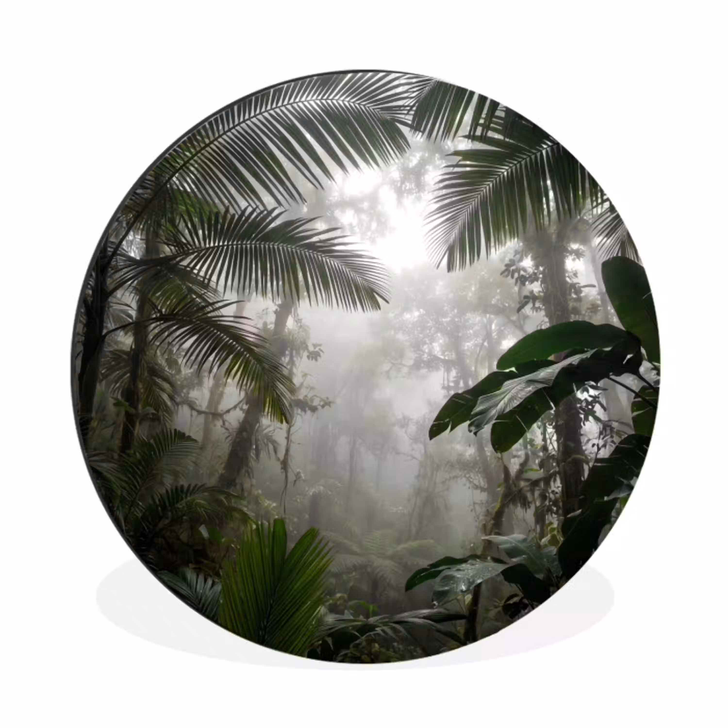 Natuur - Jungle - Mist - Groen - Bladeren Wandcirkel aluminium klein -3d