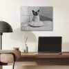 Kat - Siamees - Zwart Wit - Schattig - Dieren PET vilt klein -sfeer5