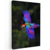 Felgekleurd - Papegaai - Bos - Vleugels Tuinposter op houten frame 2 cm dik klein -3d