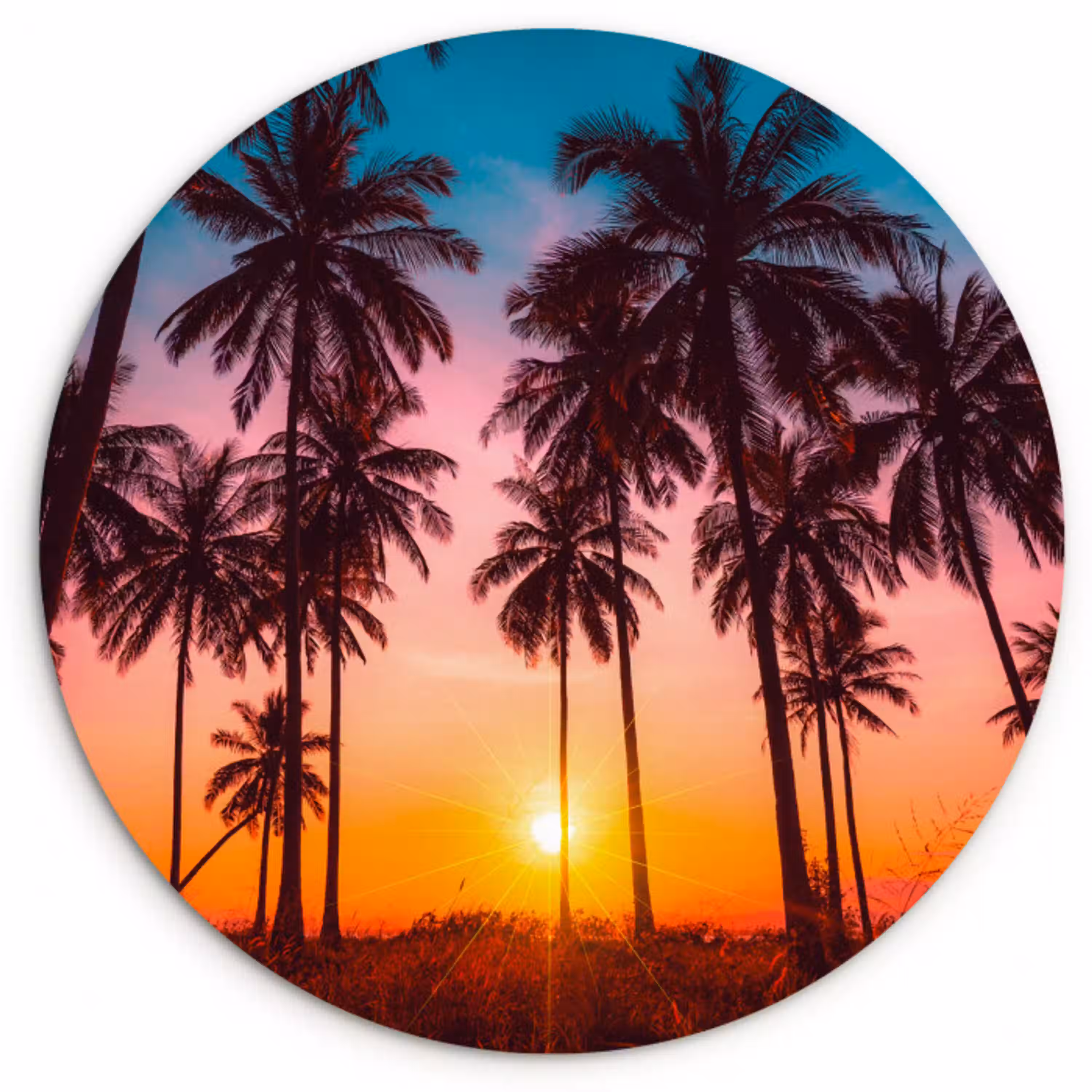 Palmboom - Zonsondergang - Horizon - Strand - Oranje - Roze Wandcirkel kunststof plaat 5mm dik klein -3d