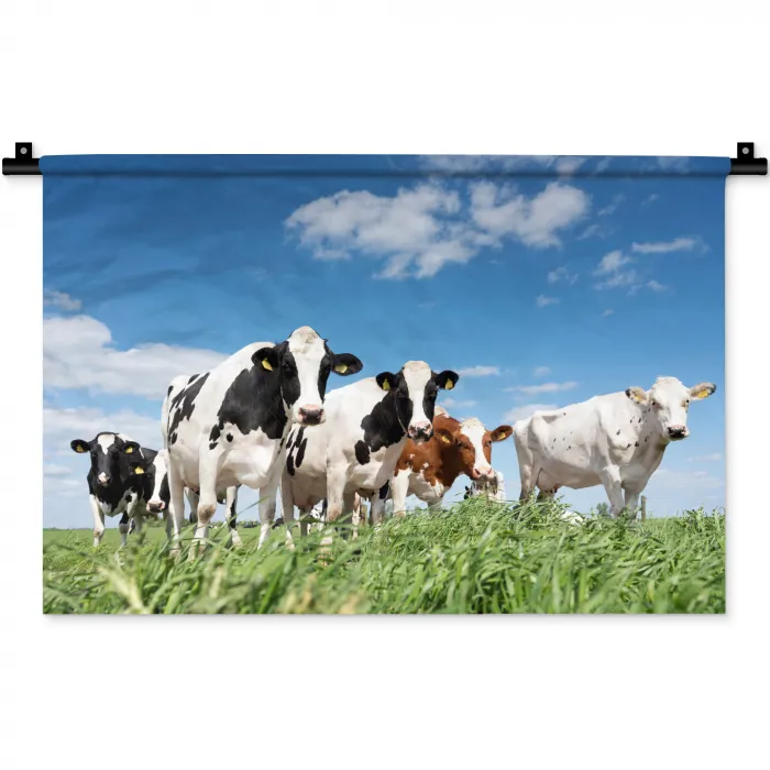 Koeien - Platteland - Weiland - Natuur - Dieren Wandkleed katoen klein -zz3d
