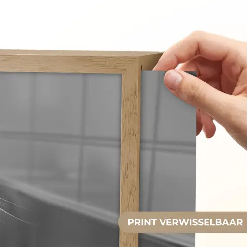 Kat - Siamees - Zwart Wit - Schattig - Dieren Light Box met batterij (Wandlamp) middel -USP_websiteprintNL