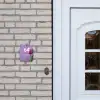 Paarse tulp - Modern Naambord Huisje klein -sfeer1