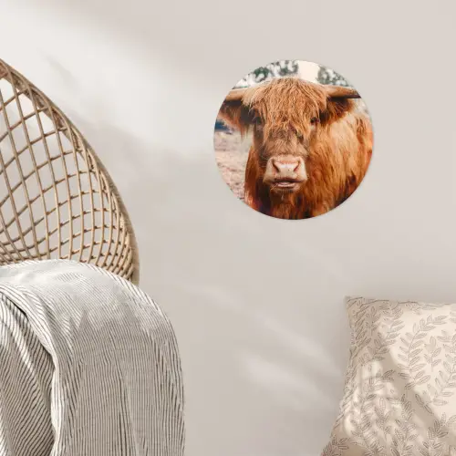Koe- Schotse hooglander - Hoorns - Bruin - Landschap Wandcirkel behangsticker klein -sfeer4