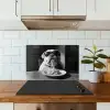 Hond - Bulldog - Pasta - Bril - Stoer - Dieren keuken achterwand spatscherm klein -sfeer2
