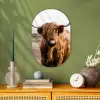 Schotse hooglander - Landschap - Koe - Bruin - Dieren - Natuur Wandcirkel Ovaal Forex klein -sfeer2