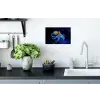 Octopus - Stippen - Blauw - Zee Muursticker klein -keuken