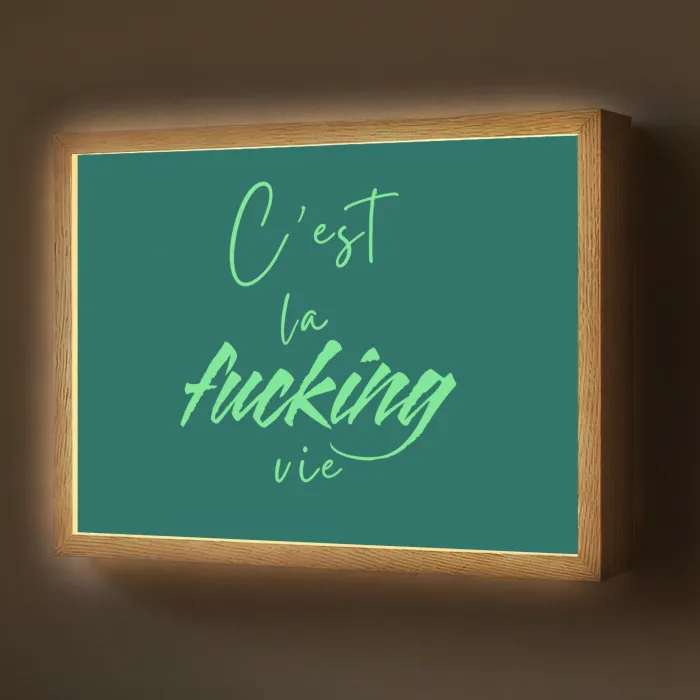 c'est la fucking vie - Groen - Handgeschreven Light Box met batterij (Wandlamp) middel -z3d_website