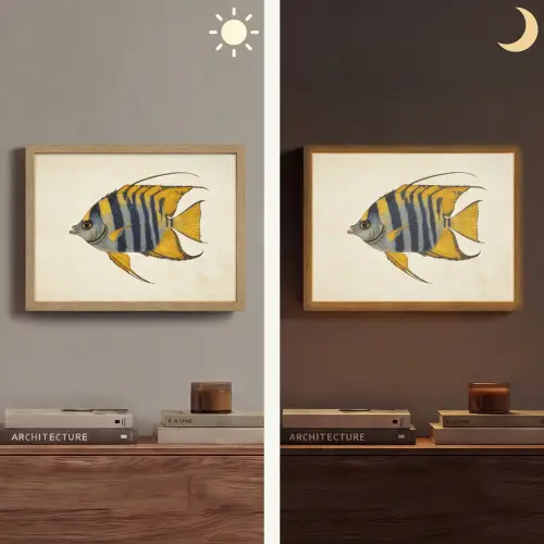 Vis - Sierlijk - Vinnen - Illustratie Light Box met batterij (Wandlamp) middel -sfeer3