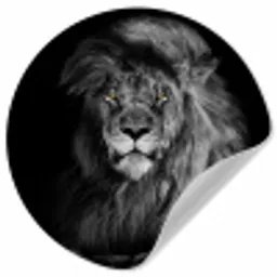 Leeuw - Ogen - Oranje - Zwart wit - Dieren - Portret Wandcirkel behangsticker klein -3d
