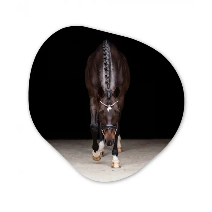 Paard - Modern - Portret Wandcirkel Organisch Aluminium middel -3d