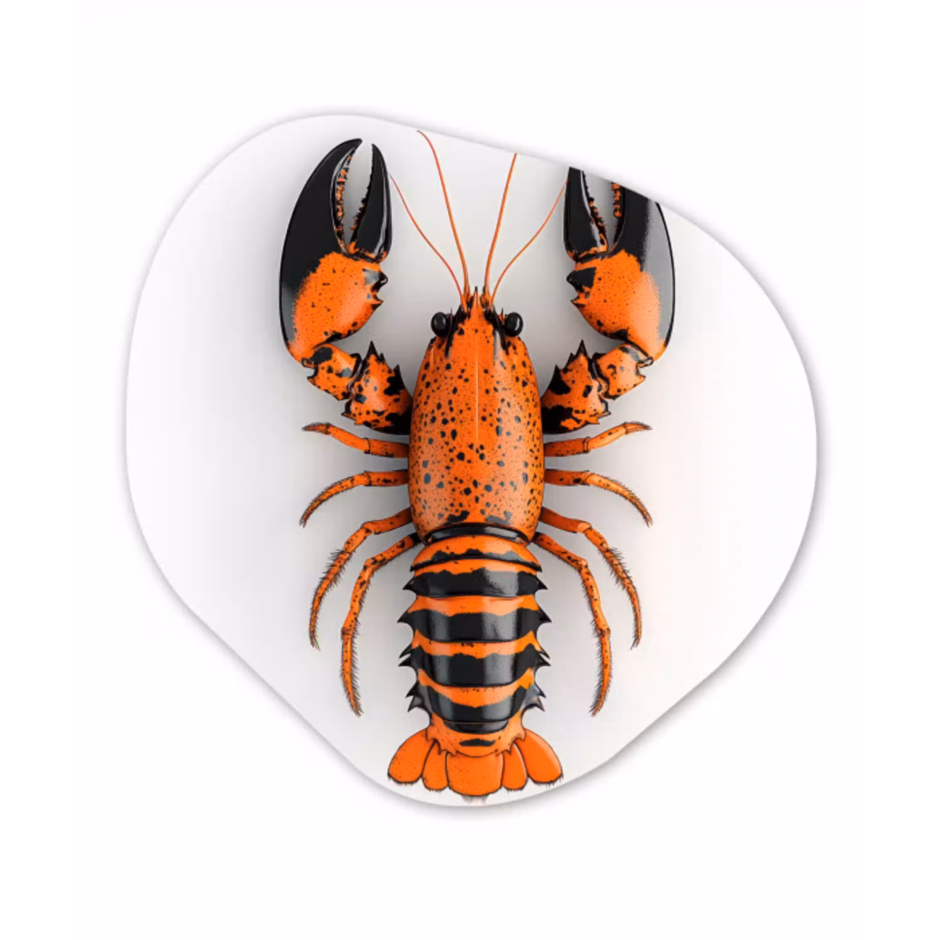 Kreeft - Zwart - Oranje - Wit - Uniek Wandcirkel Organisch Plexiglas middel -3d