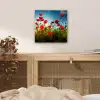 Klaprozen - Toscane - Zon - Rood - Blauw aluminium wit klein -sfeer3