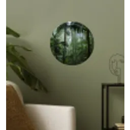 Regenwoud - Tropisch - Jungle - Bomen - Planten Wandcirkel behangsticker klein -sfeer2